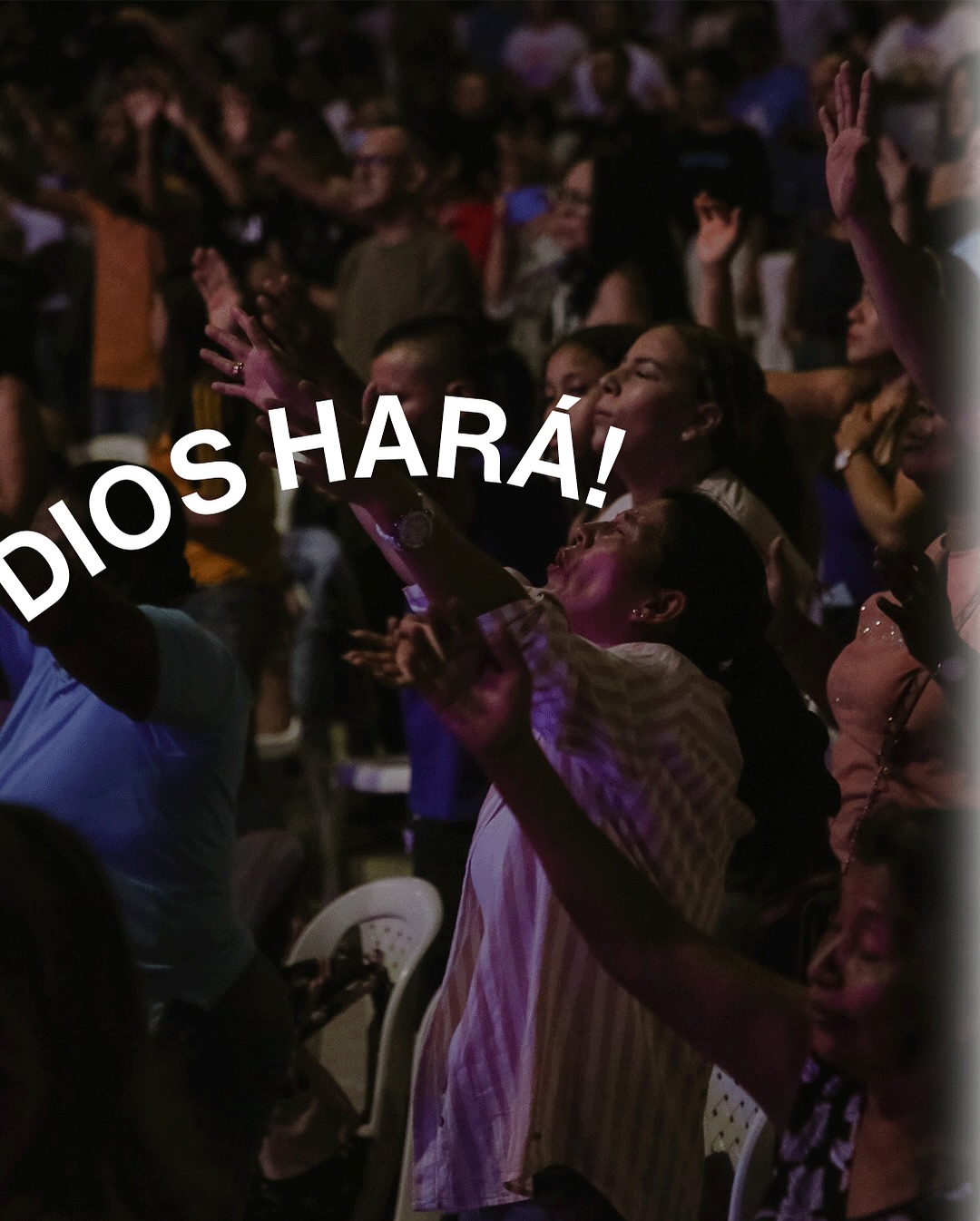 imagenes (6)